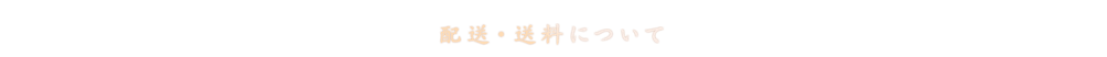 お支払いについて