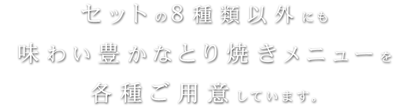 セットの8種類以外にも