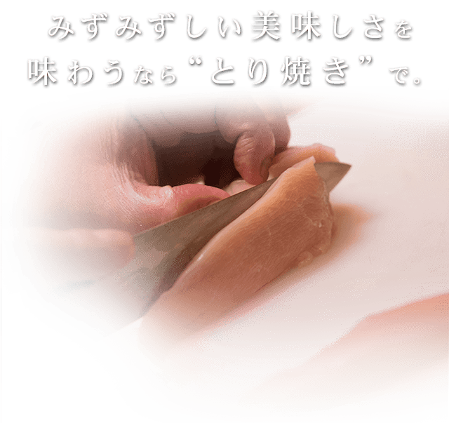 とりの