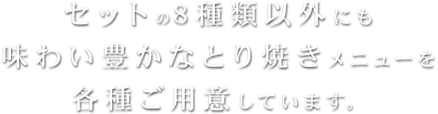 セットの8種類以外にも